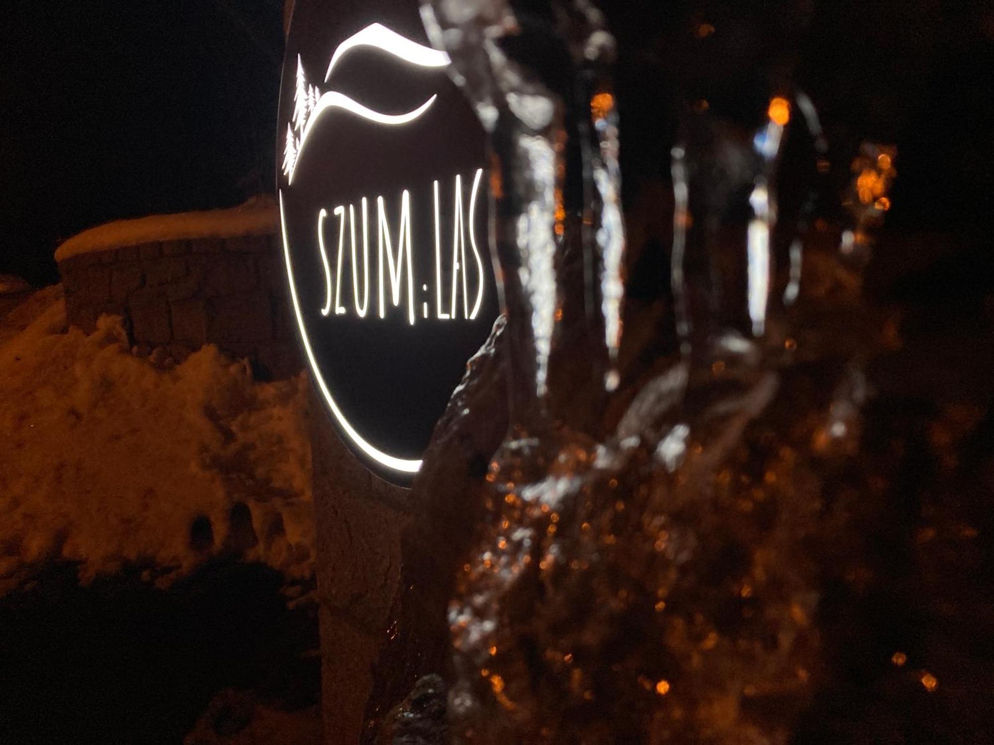 Szum I Las Szklarska Poręba Buitenkant foto